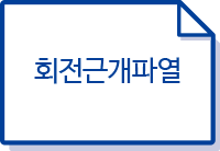 회전근개파열