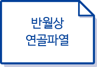 반월상 연골파열